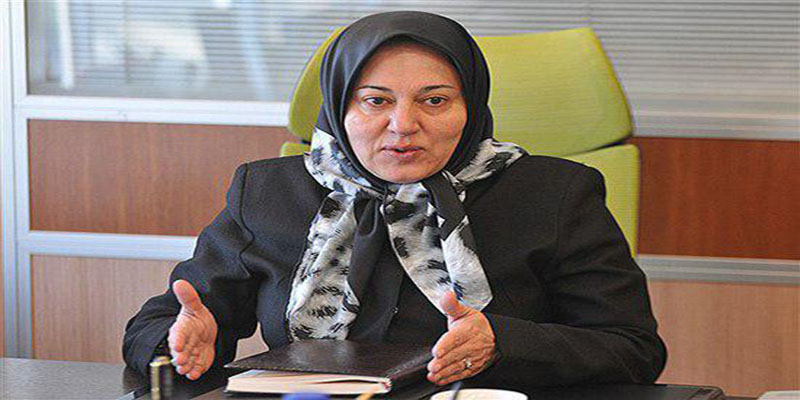 توسعه حضور زنان در اقتصاد ایران، تغییراتی ایجاد کرده است